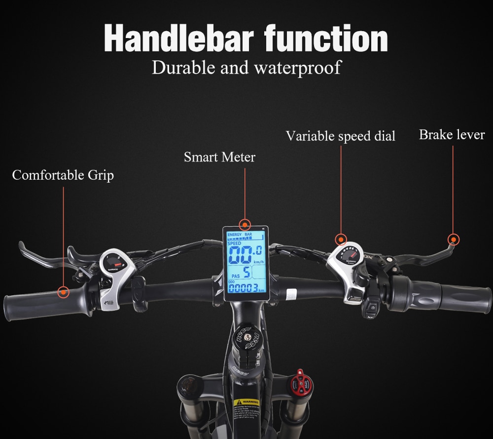 Electric Bike for Mountains and Snow