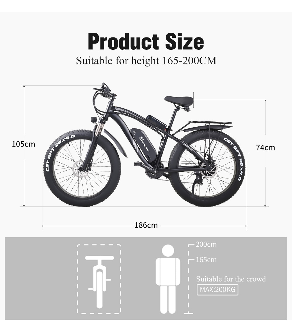 Electric Bike for Mountains and Snow