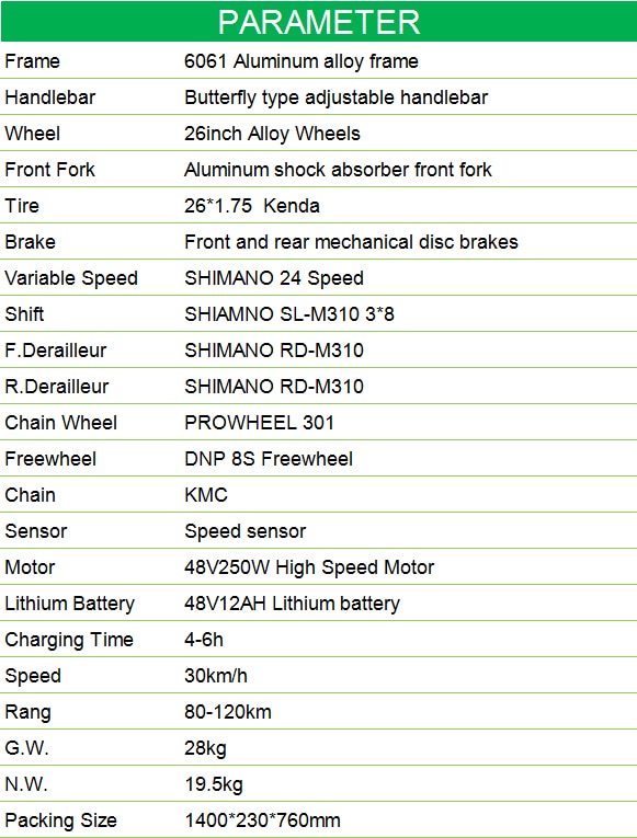 Electric Road Bike for Adults